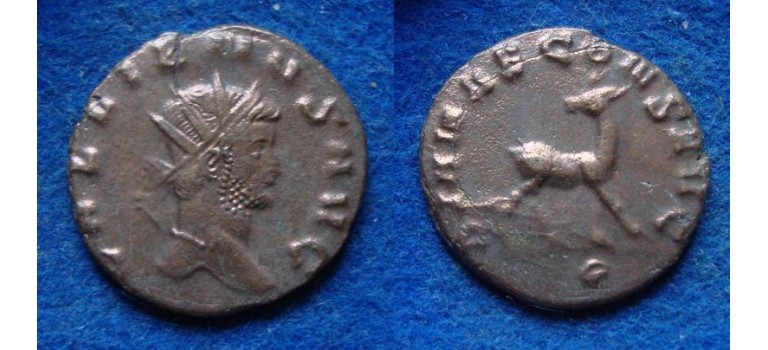 Gallienus - Zoo series DOE (s1959)