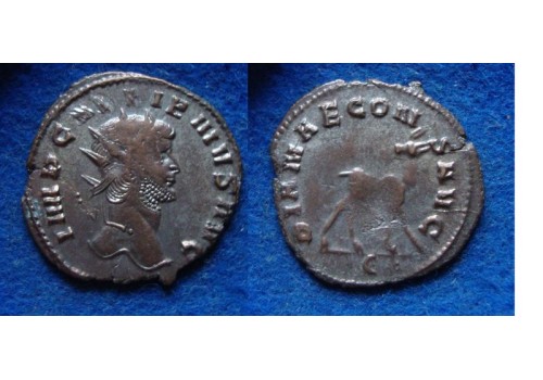 Gallienus - Hinde 'Zoo-serie' (s1961) Gallienus - Hinde 'Zoo-serie' (s1961)