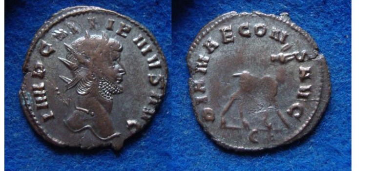 Gallienus -  Hinde 'Zoo-serie' (s1961)
