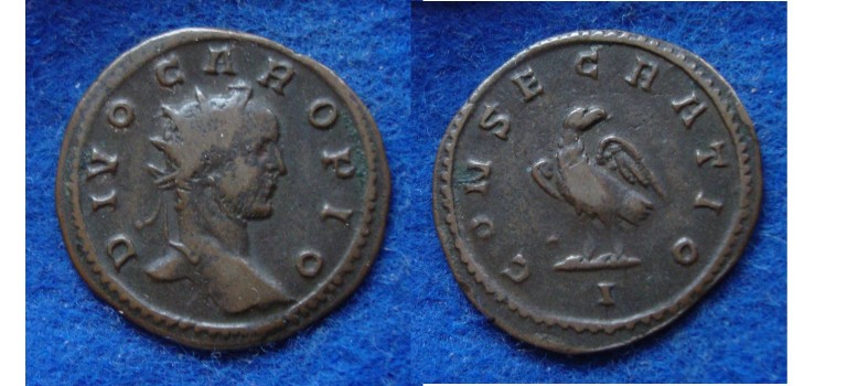 CARUS - DIVO CARO (D1702)