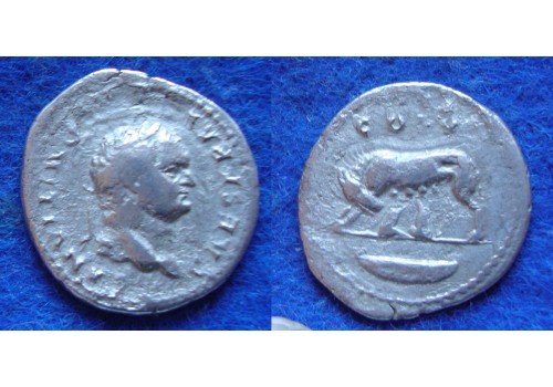 Domitianus - keerzijde Wolvin en Remus en Romulus! (D1725)