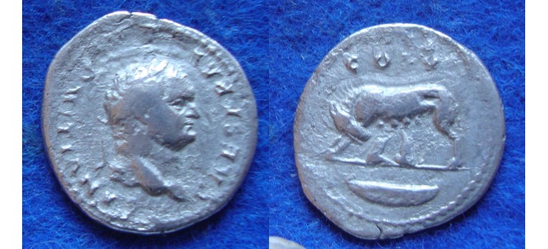 Domitianus - She wolf Remus and Romulus! (D1725)