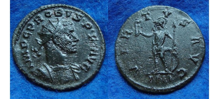 Probus - VIRTVS AVG Lyon (S1907)