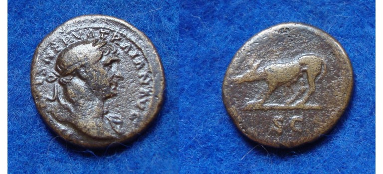 Trajanus- quadrans she wolf (N1709)