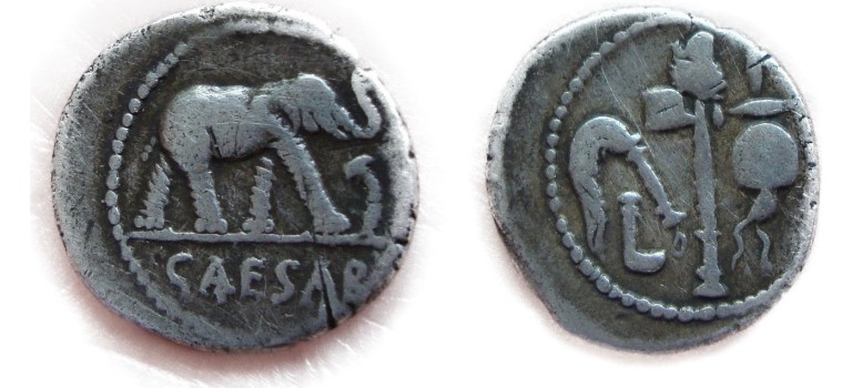 Caesar elephant! MUST HAVE (Au1722)