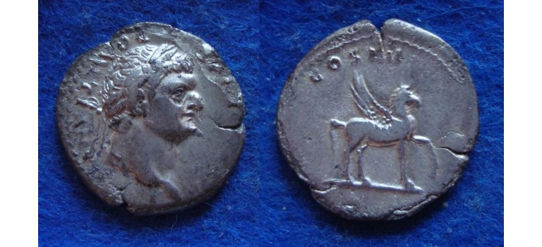Domitian - Pegasus! (JUL!931)