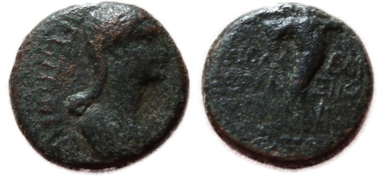 Agrippina II - sister of Caligula, wife of Claudius, mother of Nero  very rare (AU1754)