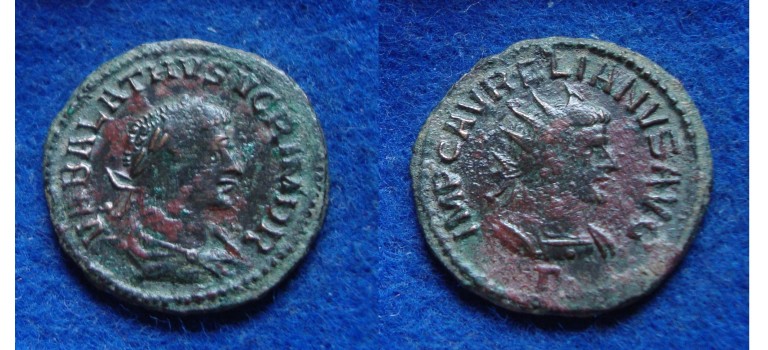 Vabalathus - scarce! (S1730)