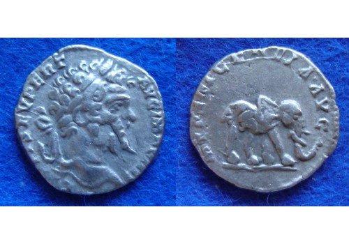 Septimius Severus - OLIFANT schaars (AU1705)