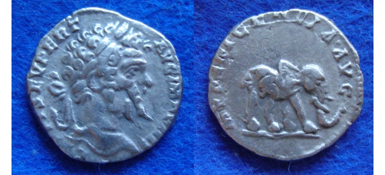 Septimius severus - ELEPHANT (AU1705)