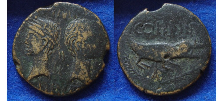 Augustus and Agrippa AS crocodile (Ap1749)