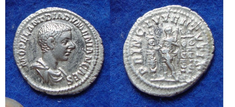 Diademenian  - Denarius RARE CAESAR PRINCIPI! (AP1732)