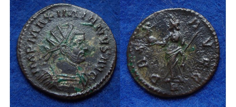 Maximianus  -  Antoninianus Pax  (F1720)