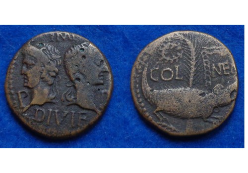 Augustus en Agrippa AS - Krokodil! (D1616)