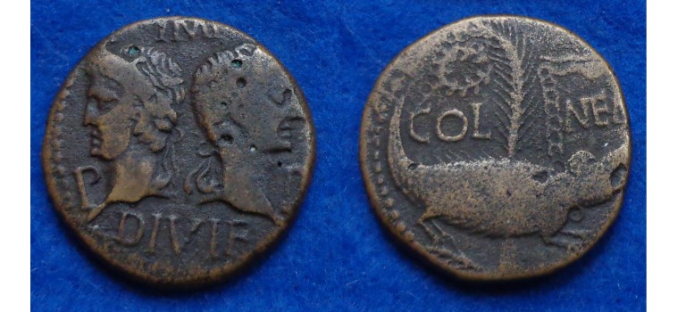 Augustus and Agrippa AS crocodile (D1616)