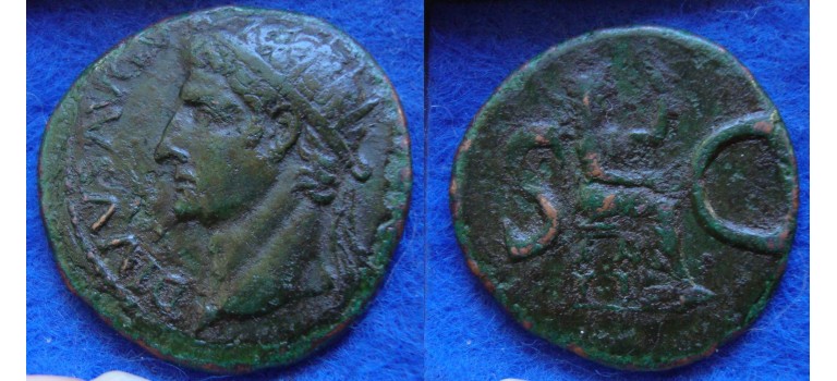 Augustus - AS DIVUS AUGUSTUS struck under Tiberius (ME1724)