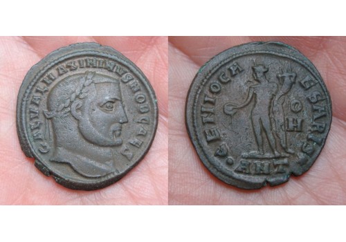 Maximinus II - Genio Caesaris (ME1639)