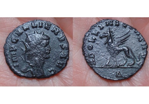 Gallienus-  Griffioen 'Zoo-serie' (JU1640)
