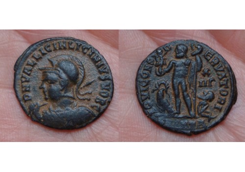 Licinius II - caesar met hem, schild en speer!  (ME1662)