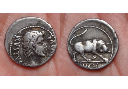 Augustus - denarius stier (ME1601)