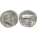 Metellus Pius Scipio -  denarius met olifant vijand van Julius Caesar! (MA2279)