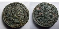 Maximus -  Athena hexassarion zeldzaam (AP2294)