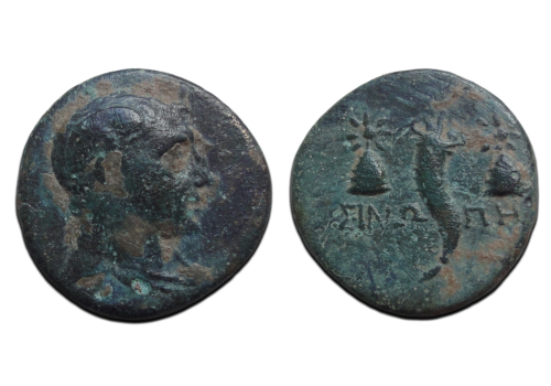Griekse munten  - Mithradates VI Perseus!  (AP26115)