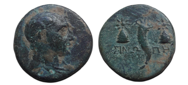 Griekse munten  - Mithradates VI Perseus!  (AP26115)