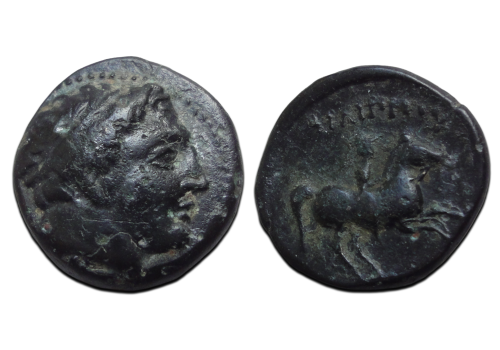 GRIEKSE MUNTEN - Philippus II vader van Alexander de Grote, zeldzaam!  (AP26119)