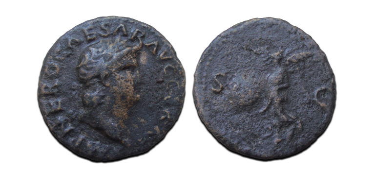 Nero - Victoria AS (AU25113) Nero - Victoria AS (AU25113)