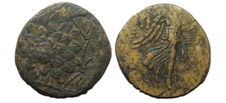 AMISOS - Aegis met gorgonenkopje!  (AU2550)