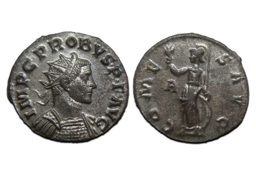 Probus- COMES AVG BEAUTY! (AU2591)