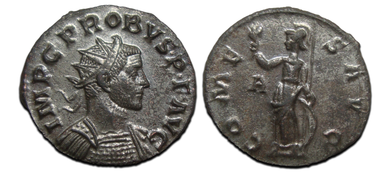 Probus- COMES AVG BEAUTY! (AU2591)