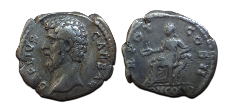 Aelius  - zeldzame Caesar CONCORDIA zeldzame buste naar links! (AU2656)