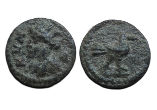 Griekse munten - Amazone van Kyme 250 - 190 voor Christus (AU2676) Griekse munten - Amazone van Kyme 250 - 190 voor Christus (AU2676)