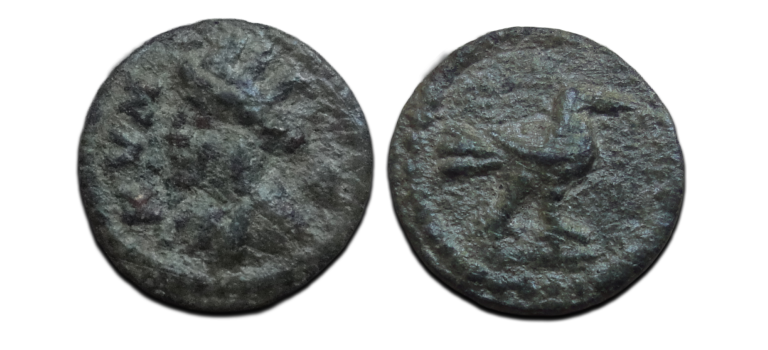 Griekse munten - Amazone van Kyme 250 - 190 voor Christus (AU2676) Griekse munten - Amazone van Kyme 250 - 190 voor Christus (AU2676)