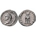 Titus - Driepoot met dolfijn denarius zeldzaam (AU2699)