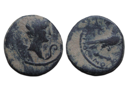 Augustus - Eagle Amorium (D2528) Augustus - Eagle Amorium (D2528)