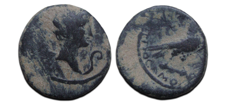 Augustus - Eagle Amorium (D2528)