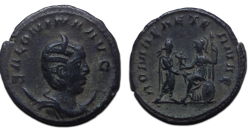 Salonina - ROMA AETERNAE (D2571)