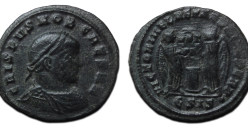 Crispus - Victoria's  ZEER ZELDZAAM! (S2620)