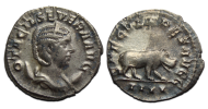 Otacilia Severa - NIJLPAARD prachtig! (F2538)