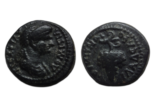 Domitia - wife of Domitian (F26140)