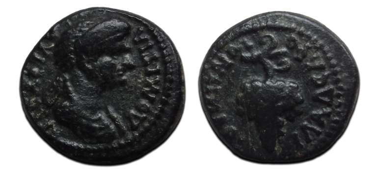 Domitia - vrouw van keizer Domitianus (F26140)