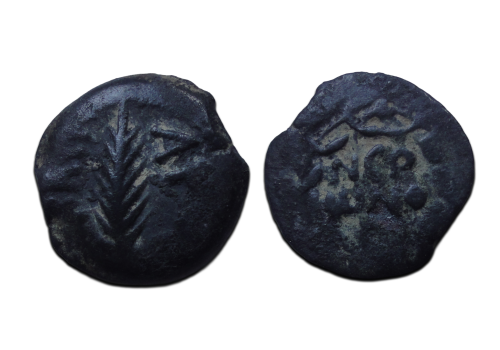 JUDAEA - Prutah met palmblad Nero! (F2668)