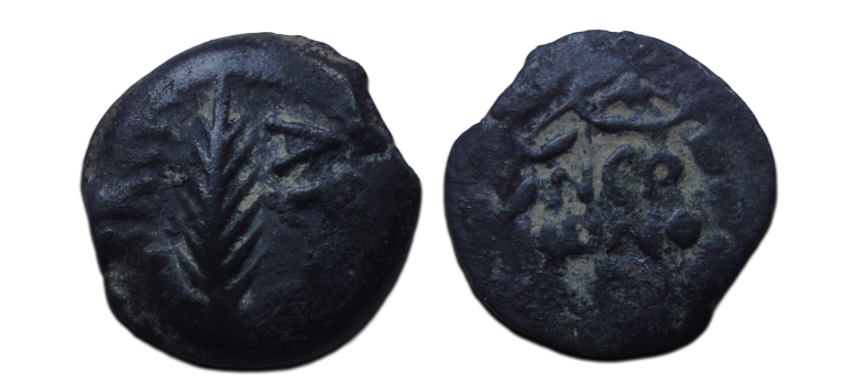 JUDAEA - Prutah met palmblad Nero! (F2668)