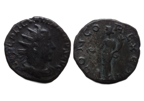 Valerianus I - CONCORDIA hybride uniek?  (F2686)