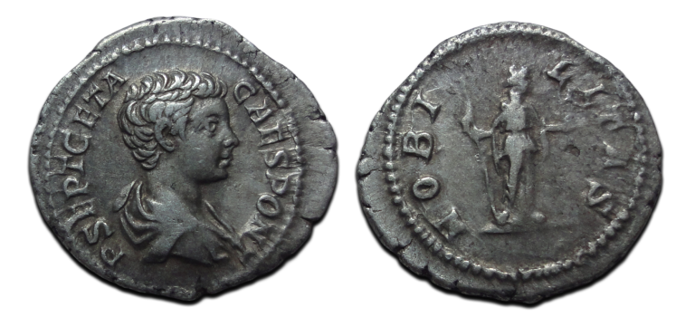Geta - denarius NOBILITAS (JA2633)