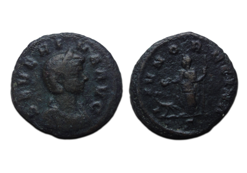 Severina-  AS juno bijzonder en zeldzaam!! (JA2642)