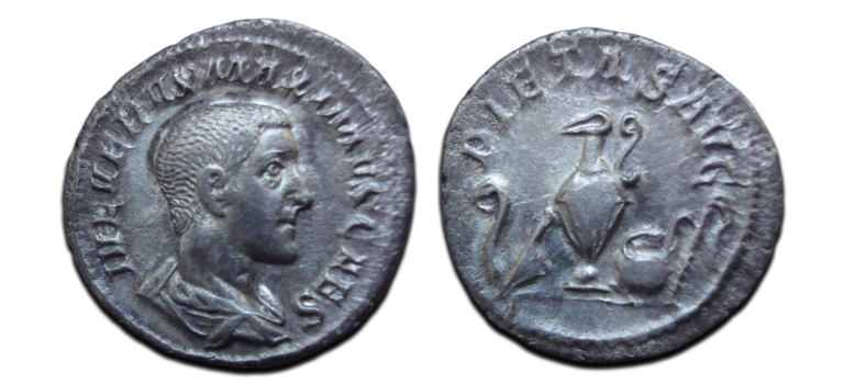 Maximus - denarius PIETAS zeldzaam (MA2658) Maximus - denarius PIETAS zeldzaam (MA2658)